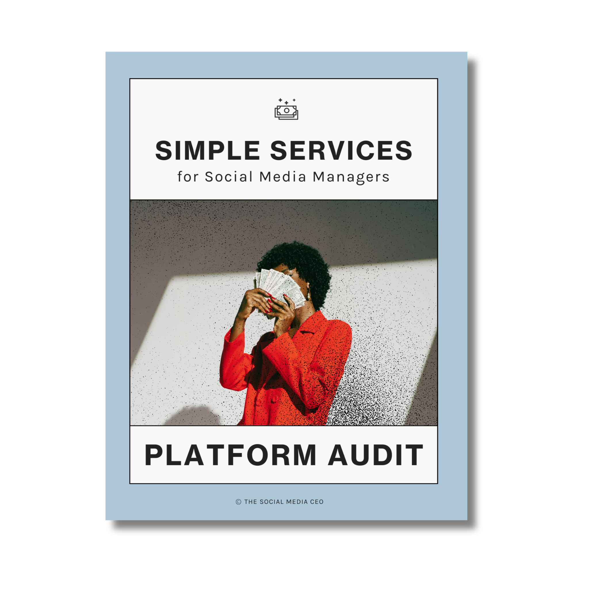 Platform Audit Template