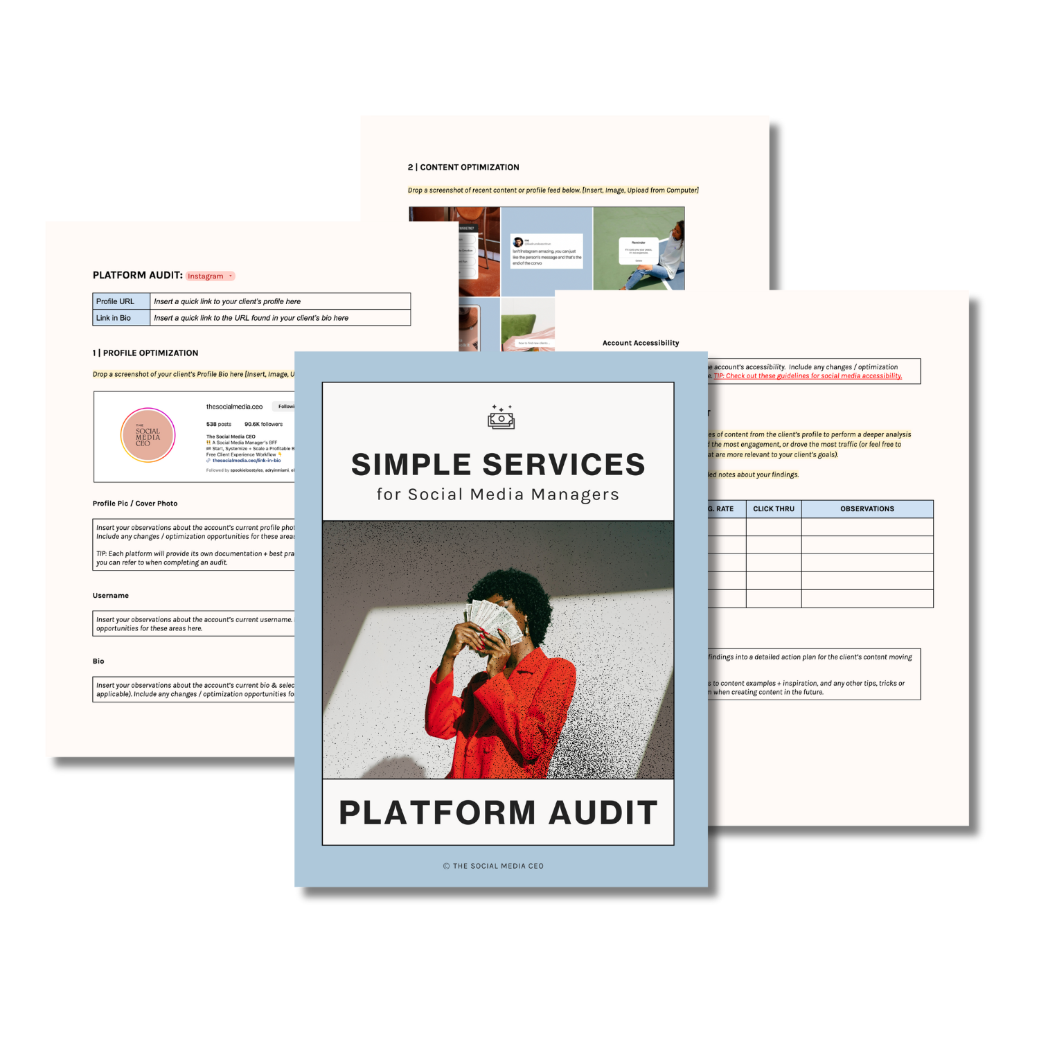 Platform Audit Template